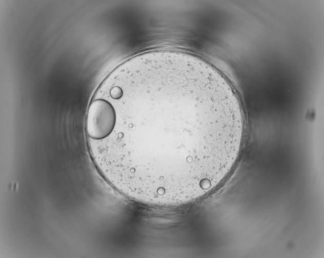 X0000090911338200708131405