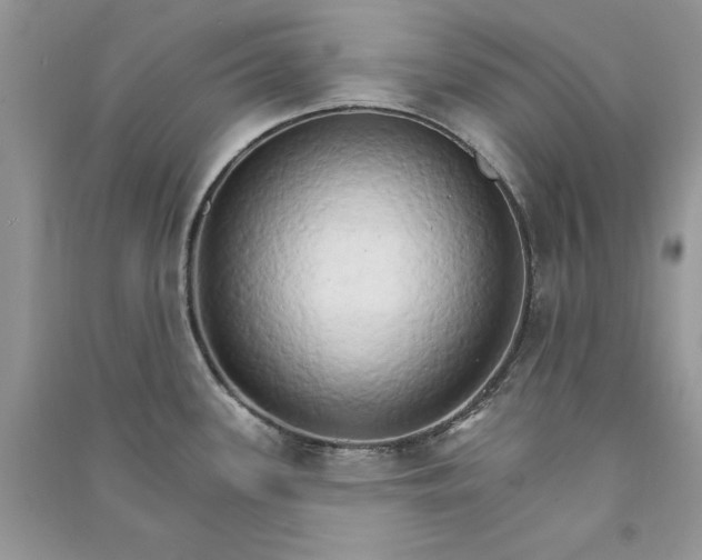 X0000090911339200708131405