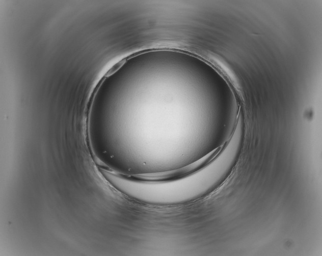 X0000090911340200708131405