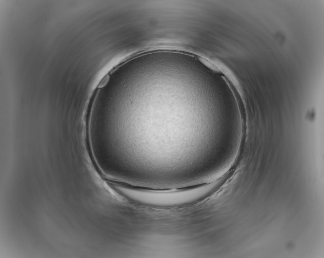 X0000090911341200708131405