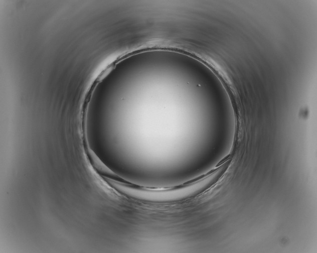 X0000090911342200708131405