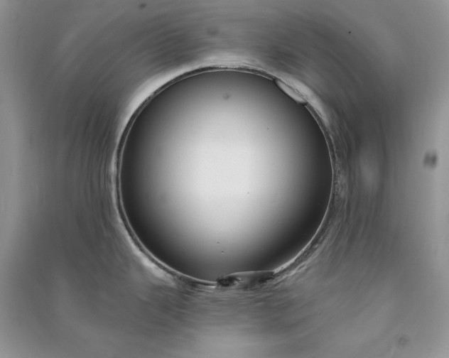 X0000090911343200708131405