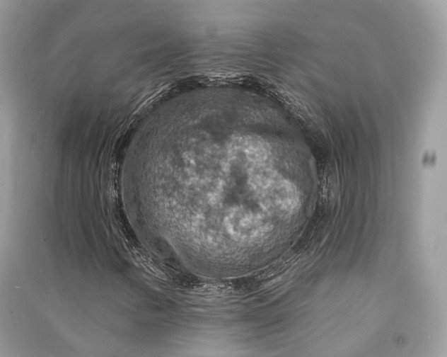 X0000090911346200708131404