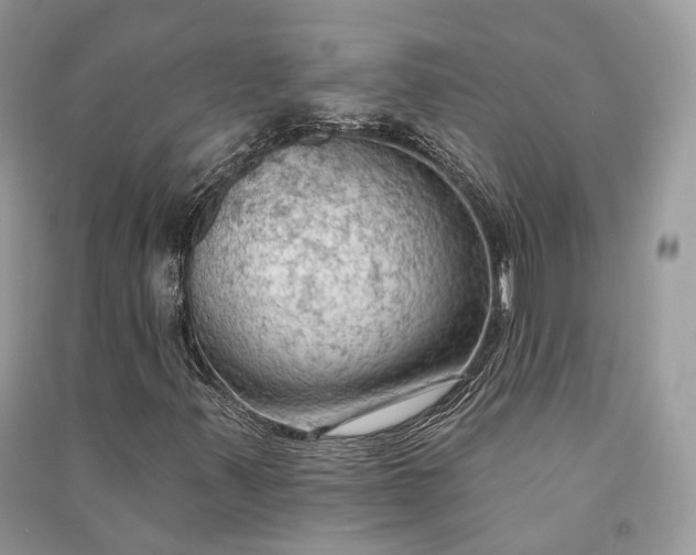 X0000090911347200708131404