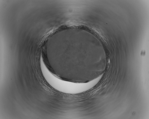 X0000090911348200708131404