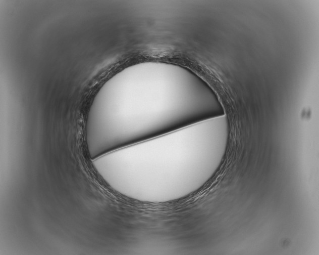 X0000090911349200708131404