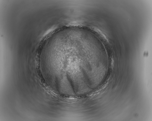 X0000090911350200708131404