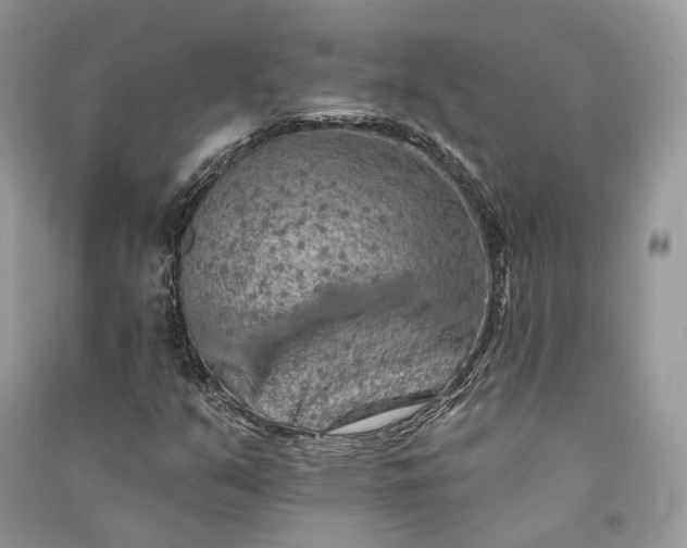 X0000090911351200708131404