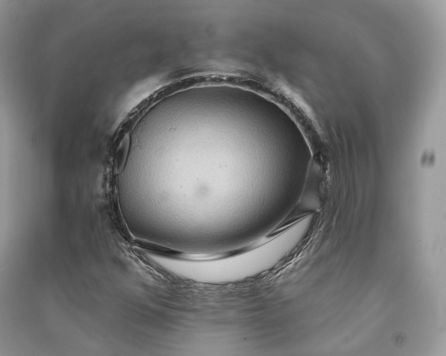 X0000090911352200708131404