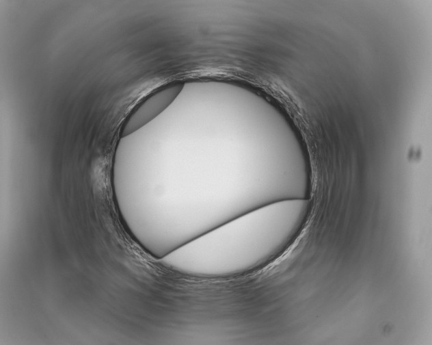 X0000090911353200708131404