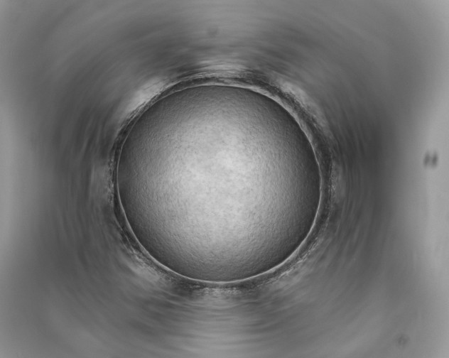 X0000090911354200708131404