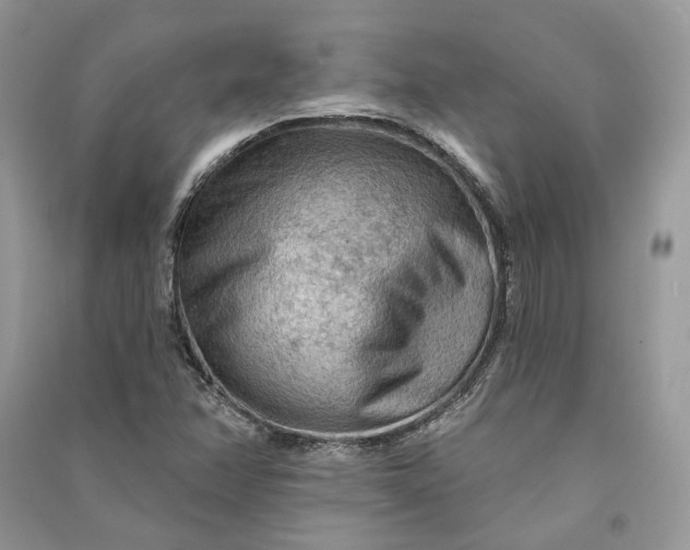 X0000090911358200708131404