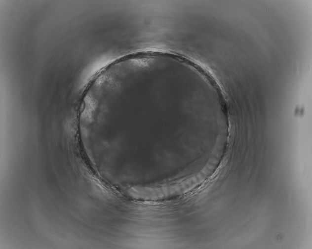 X0000090911359200708131404