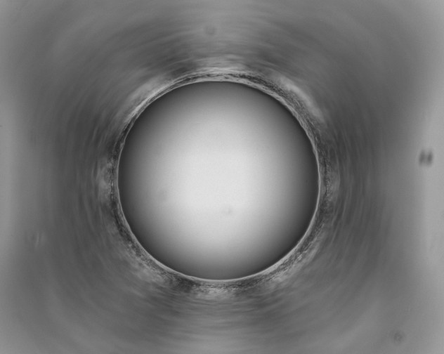 X0000090911361200708131404