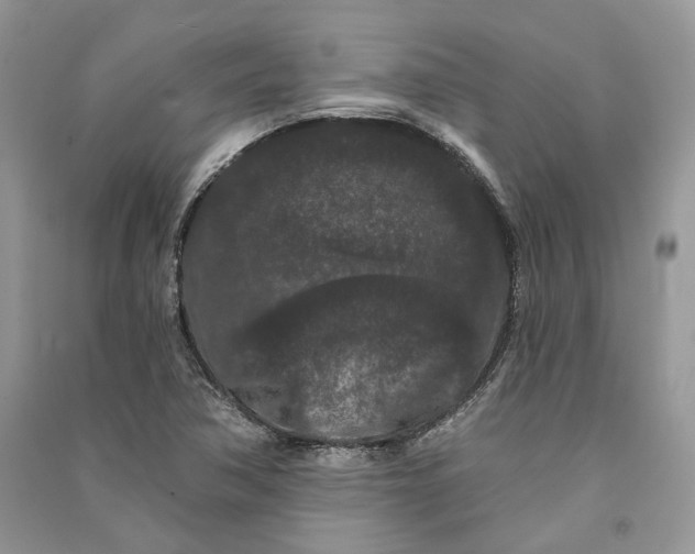 X0000090911362200708131404