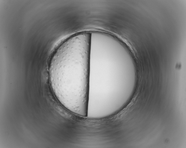 X0000090911363200708131404