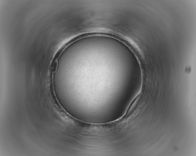 X0000090911364200708131404