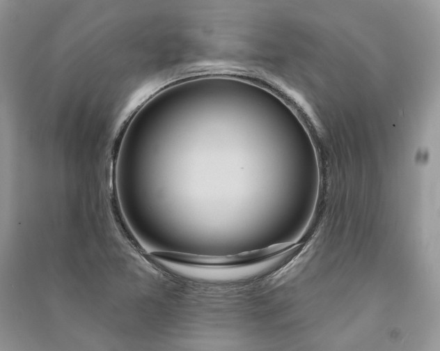 X0000090911365200708131404