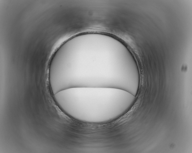 X0000090911366200708131404