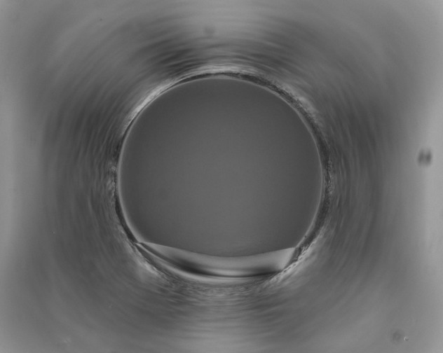 X0000090911369200708131404