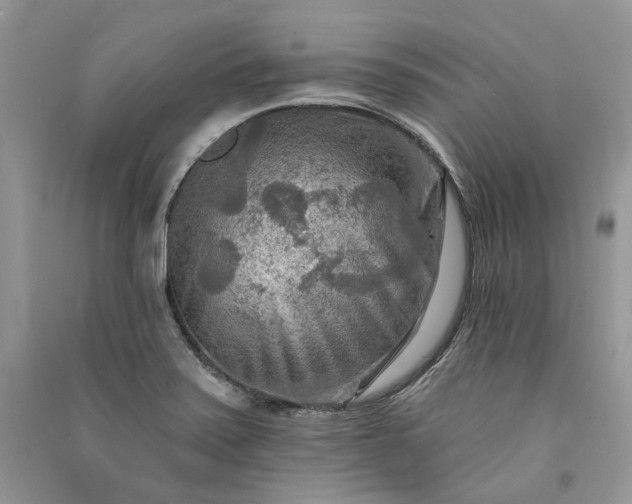 X0000090911371200708131404