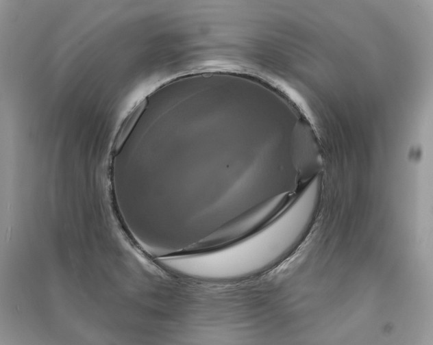 X0000090911373200708131404