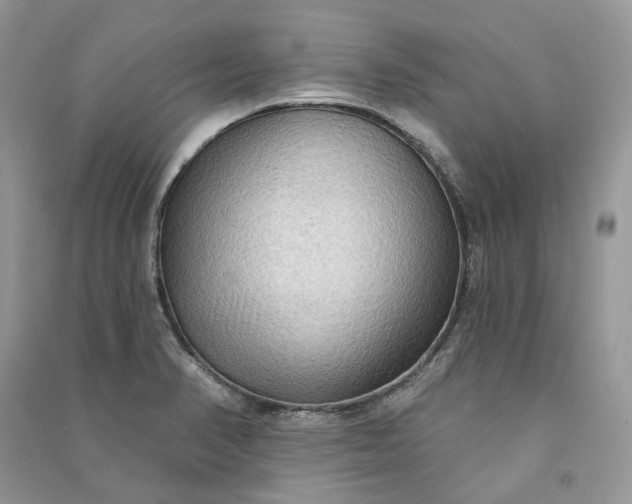 X0000090911374200708131404