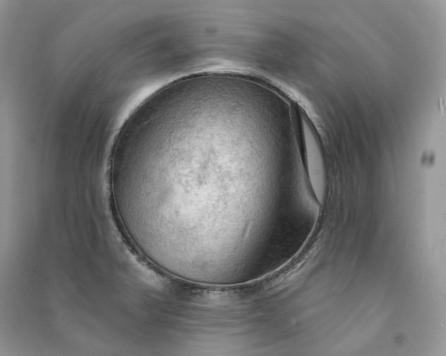 X0000090911375200708131404