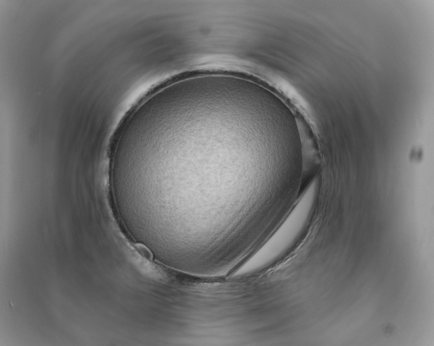 X0000090911376200708131404