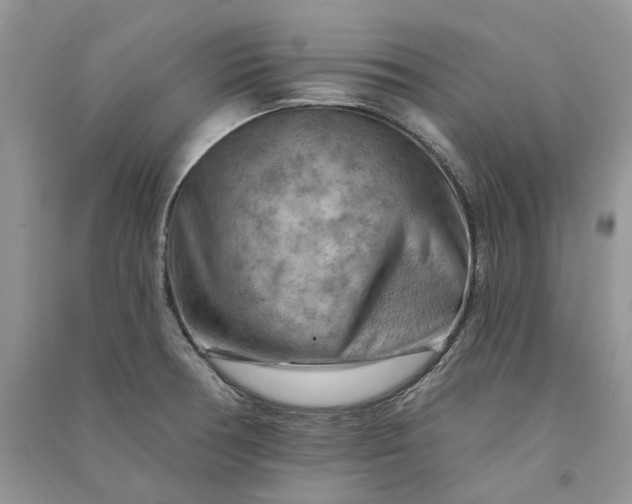 X0000090911378200708131404