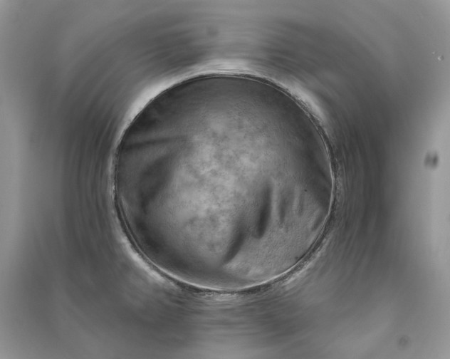 X0000090911382200708131404