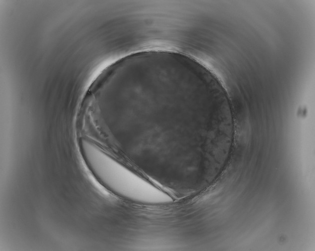 X0000090911383200708131404