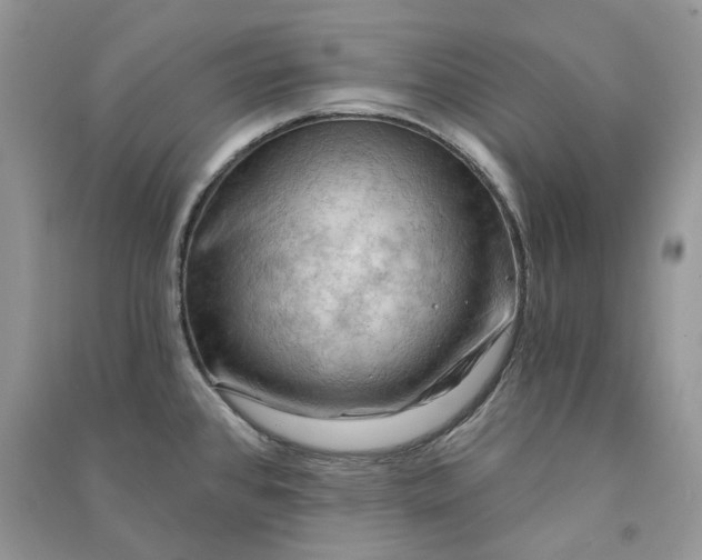 X0000090911384200708131404