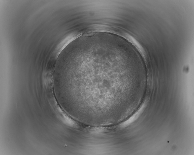 X0000090911385200708131403