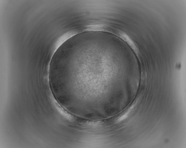 X0000090911386200708131403