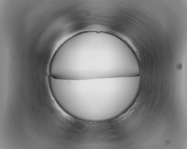 X0000090911387200708131403