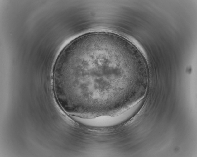 X0000090911388200708131403