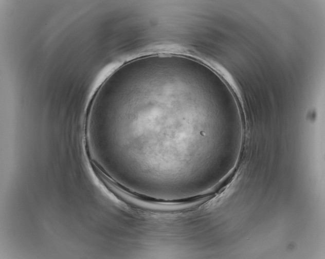 X0000090911389200708131403