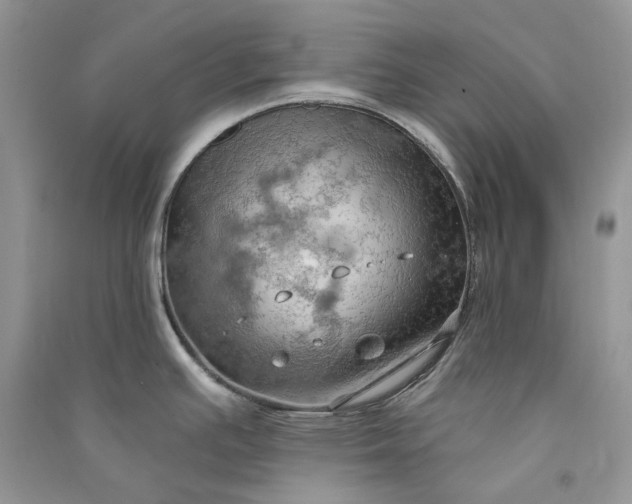 X0000090911391200708131403