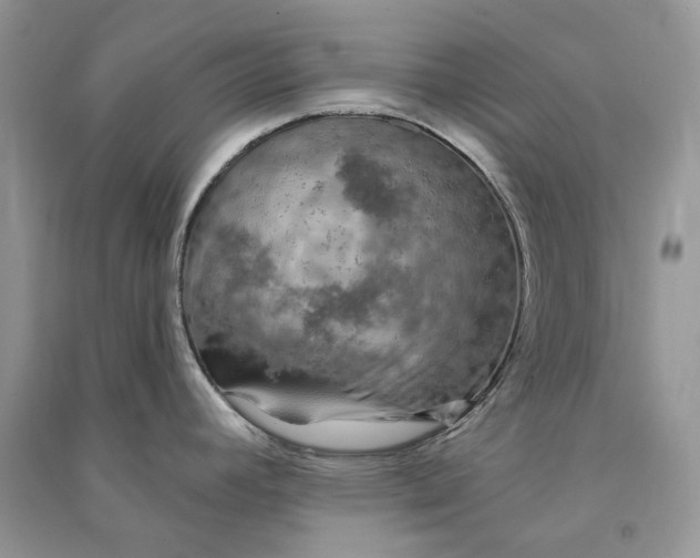 X0000090911392200708131403