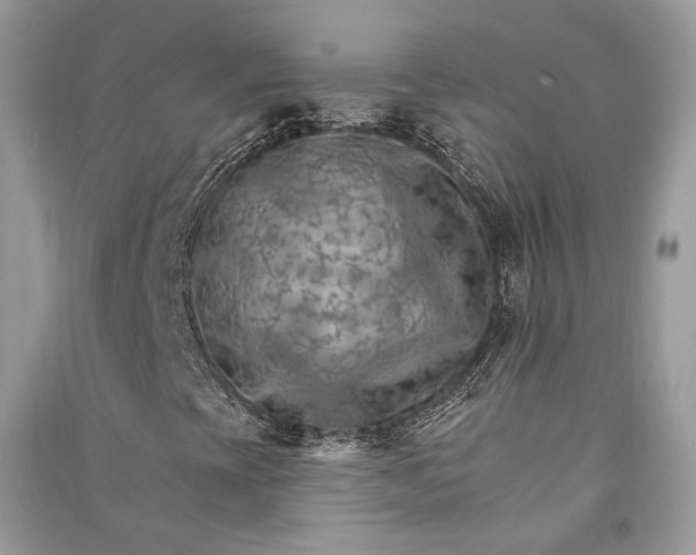 X0000090911393200708131403