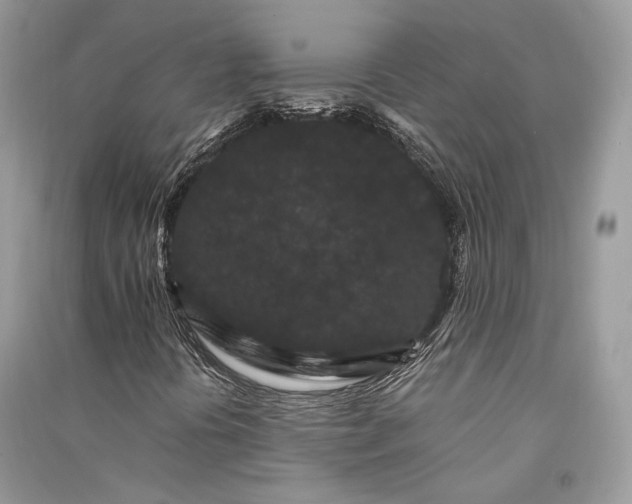 X0000090911394200708131403