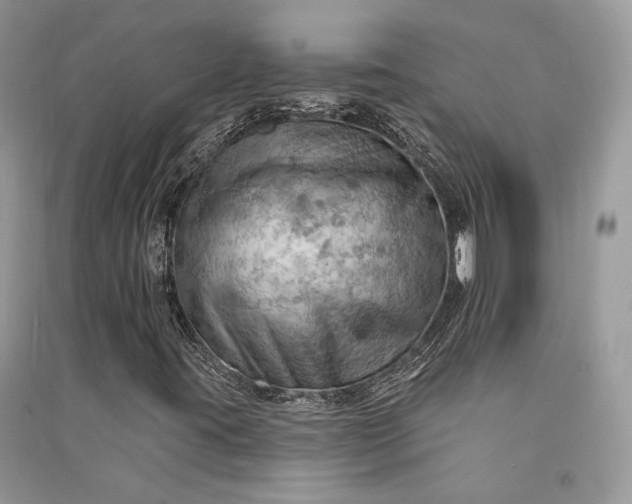 X0000090911395200708131403