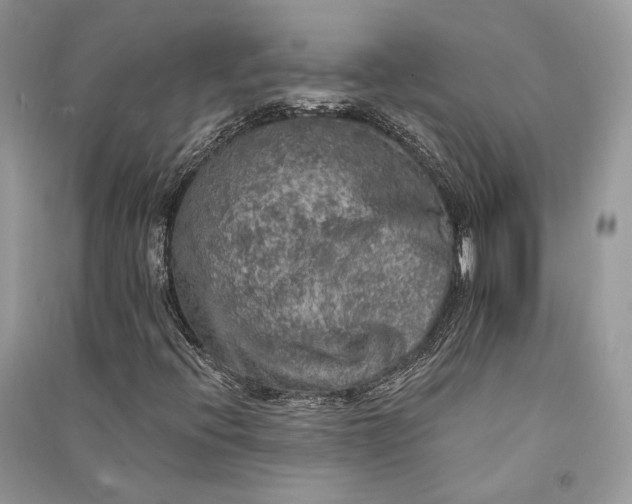 X0000090911396200708131403