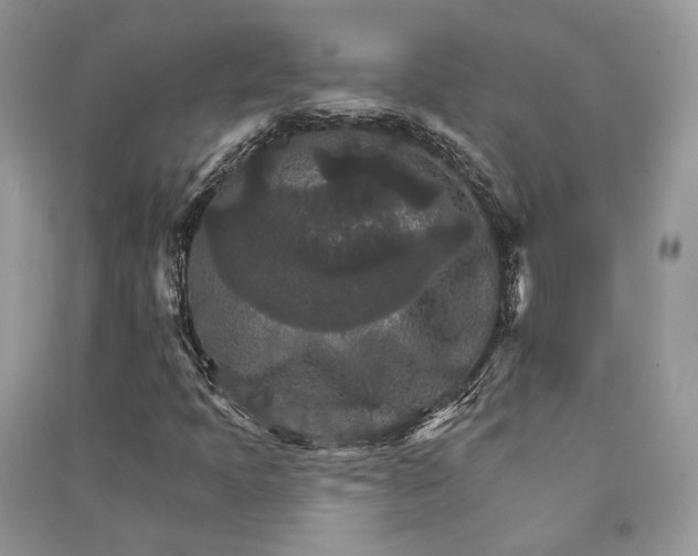 X0000090911397200708131403