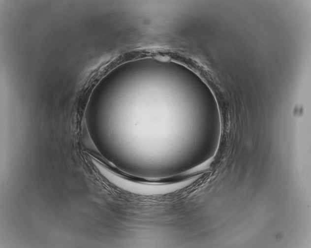 X0000090911398200708131403