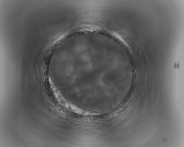 X0000090911399200708131403