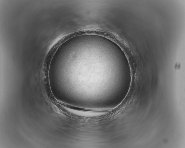 X0000090911400200708131403