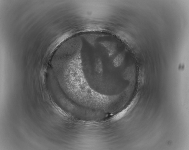 X0000090911401200708131403