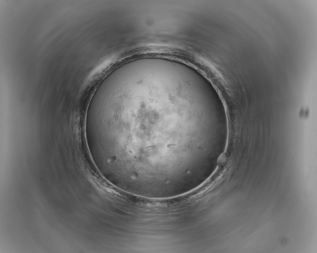 X0000090911403200708131403